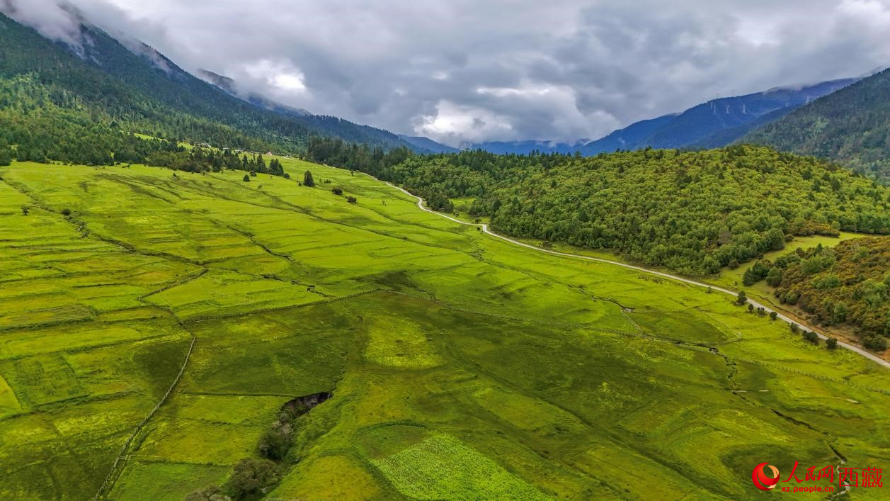 圖為航拍高山牧場(chǎng)鳥(niǎo)瞰圖。人民網(wǎng)記者 次仁羅布攝