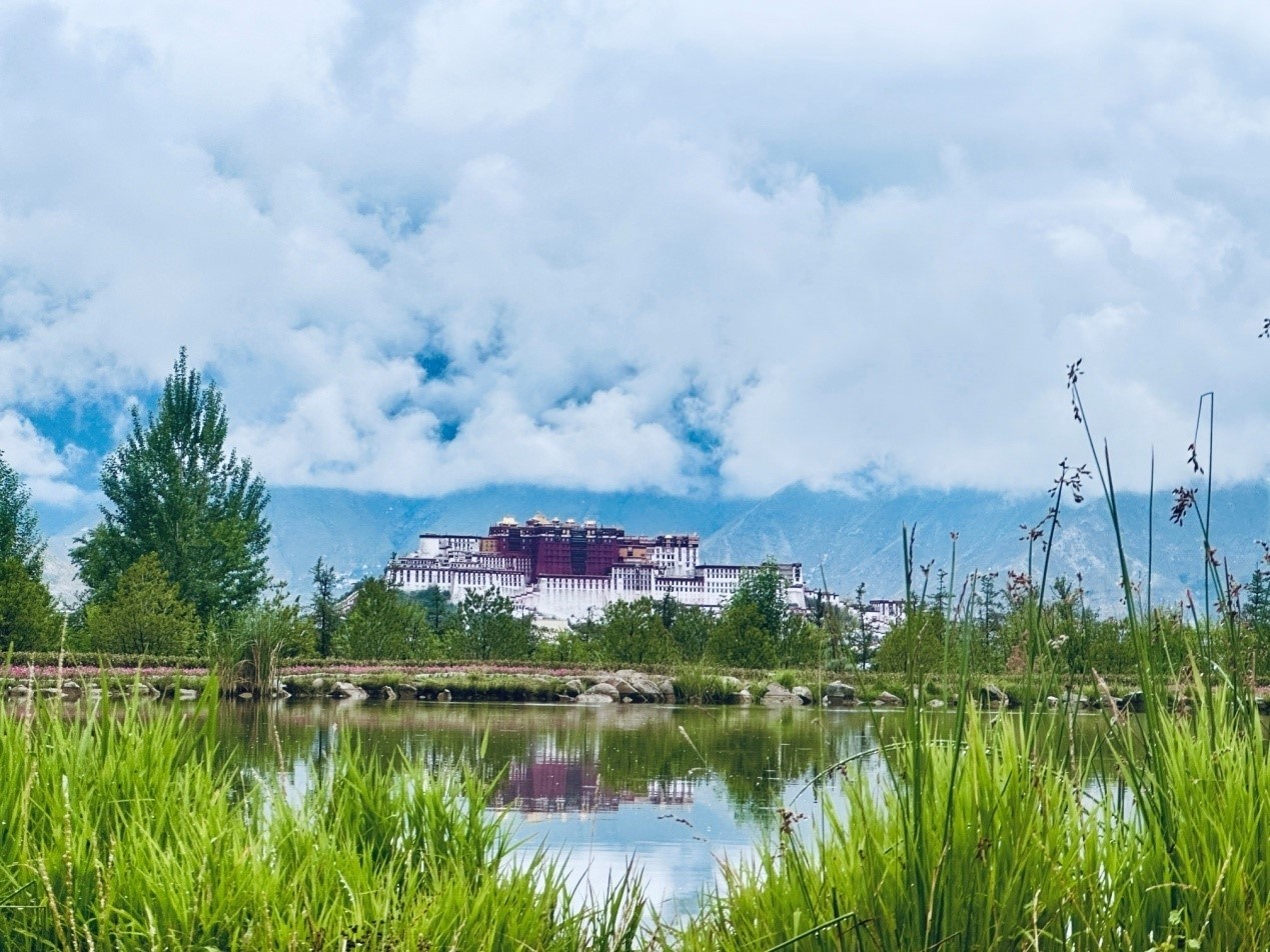 在南山公園遠(yuǎn)眺布達(dá)拉宮。人民網(wǎng)記者 益西康珠攝