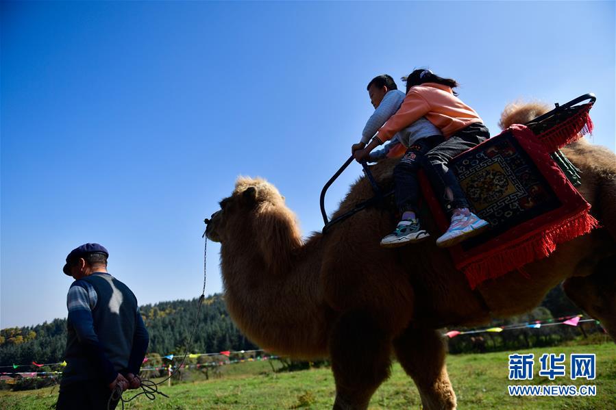 （全面建成小康社會(huì)“百城千縣萬(wàn)村調(diào)研行”·圖文互動(dòng)）（7）青?？?yáng)村：“光棍村”的華麗轉(zhuǎn)身